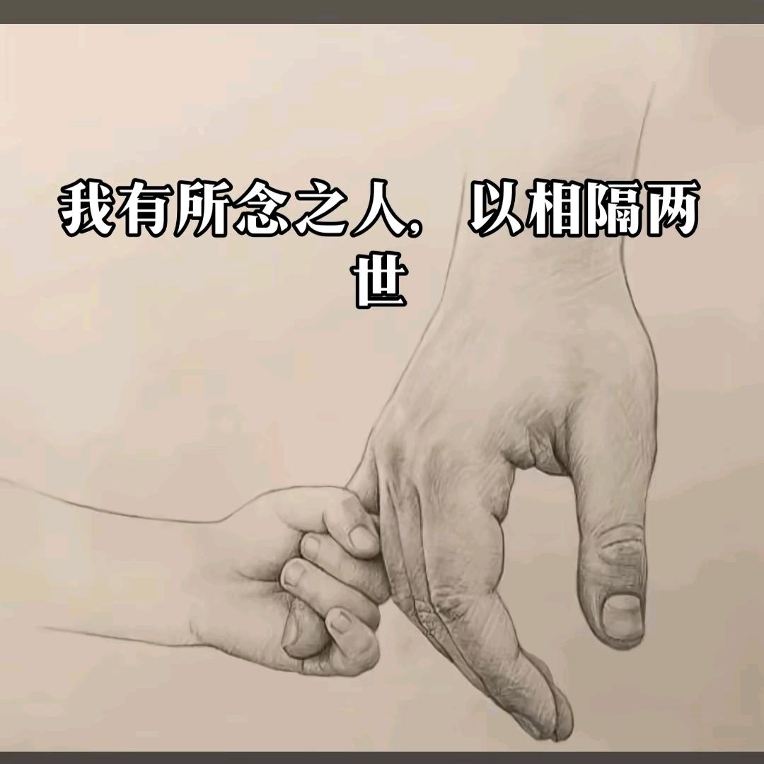 我姓曹💋