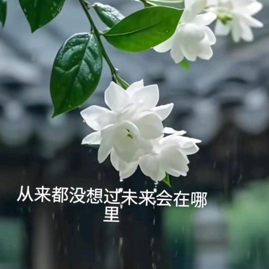 思念你……我