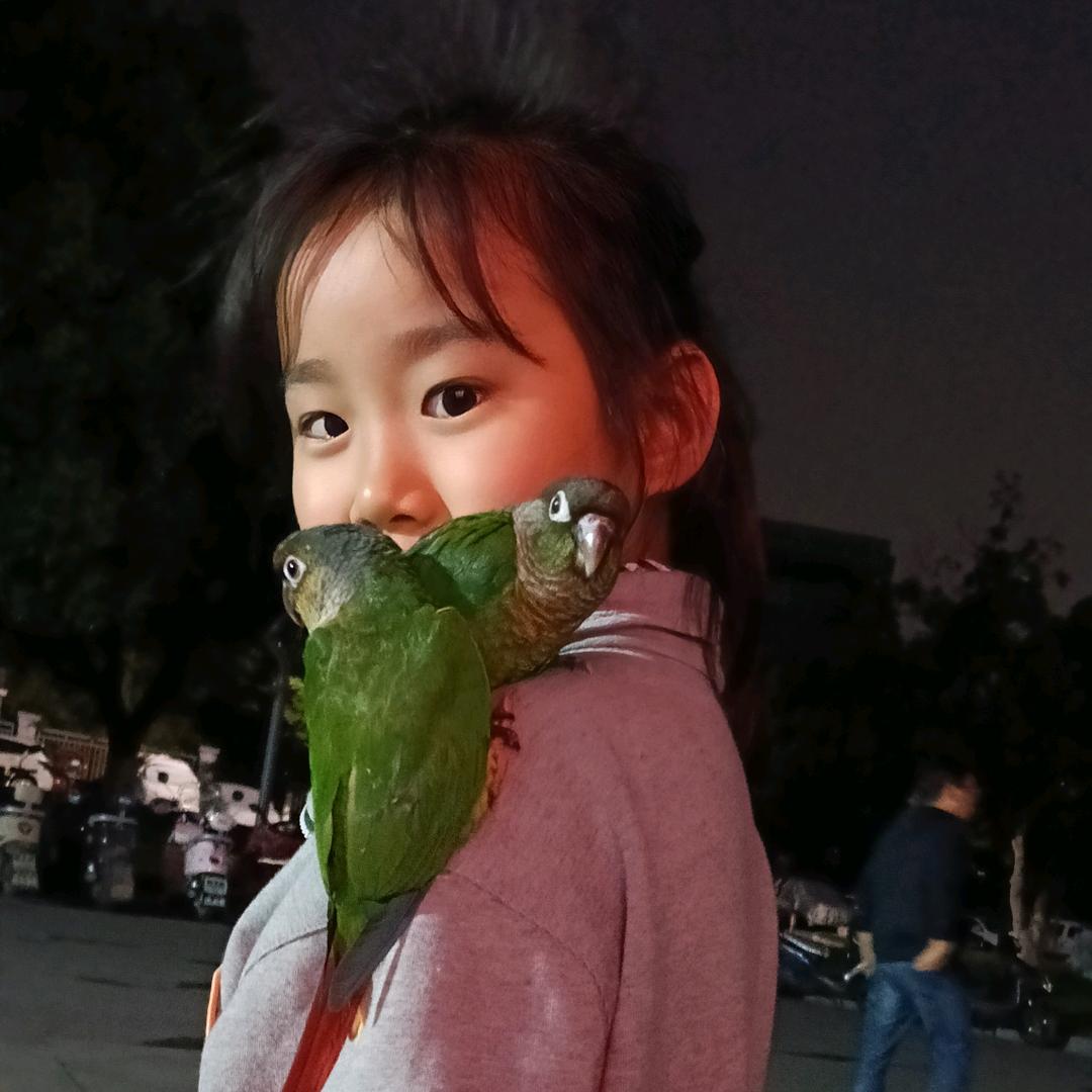 小张无敌