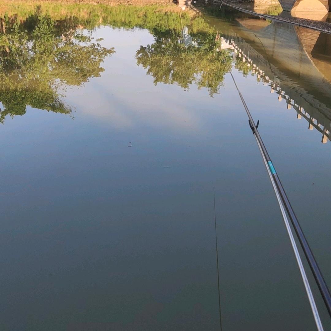 武汉市中福搬运