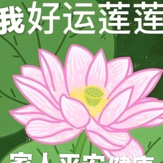 龙外婆🌹