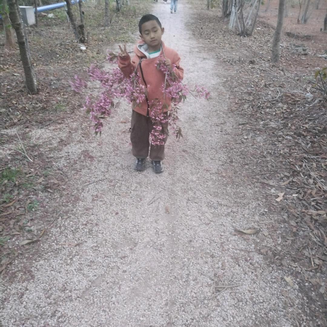 我是一个，离婚的带孩子，单身爸爸