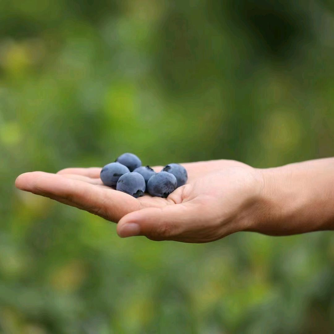 好物源头清仓