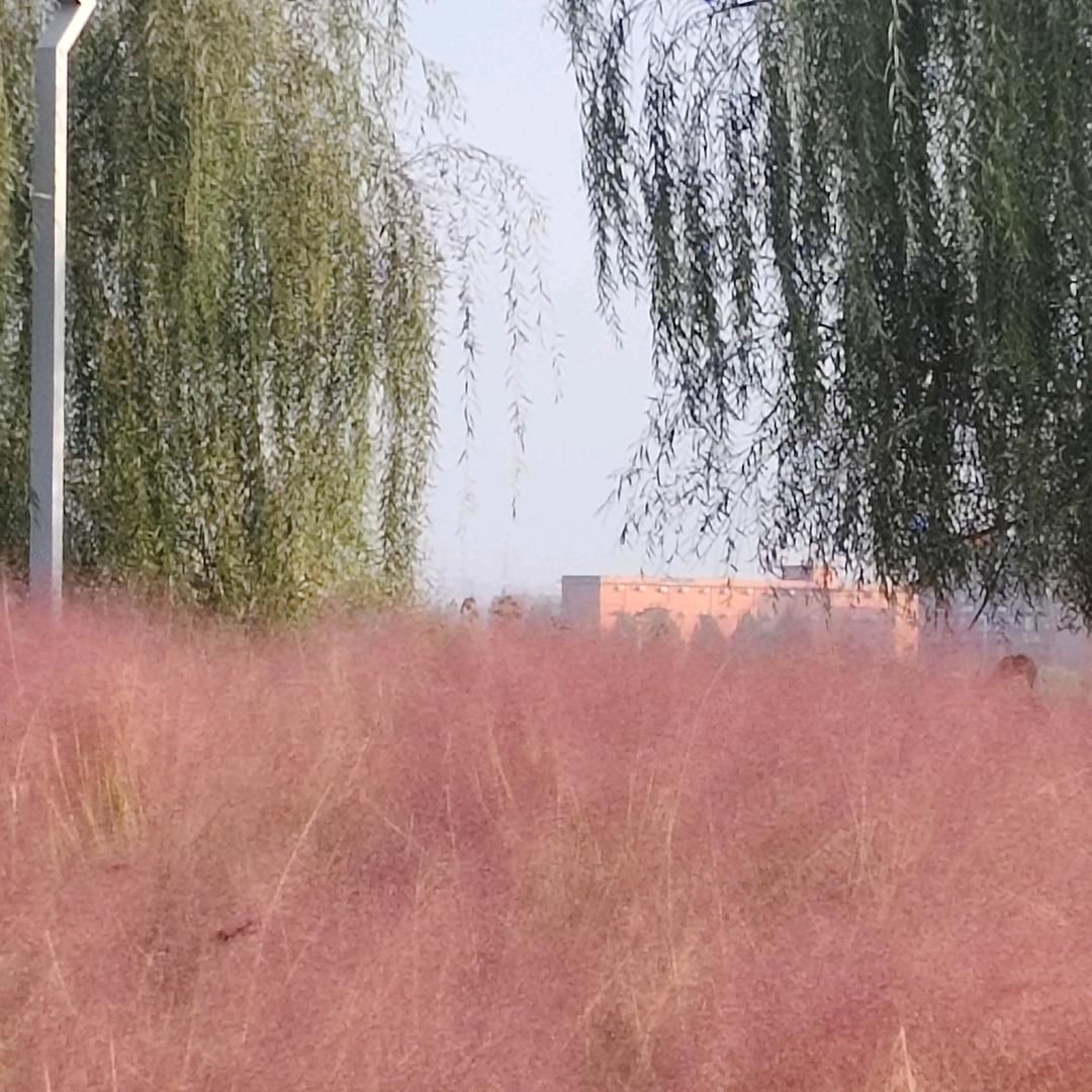 溜达哥