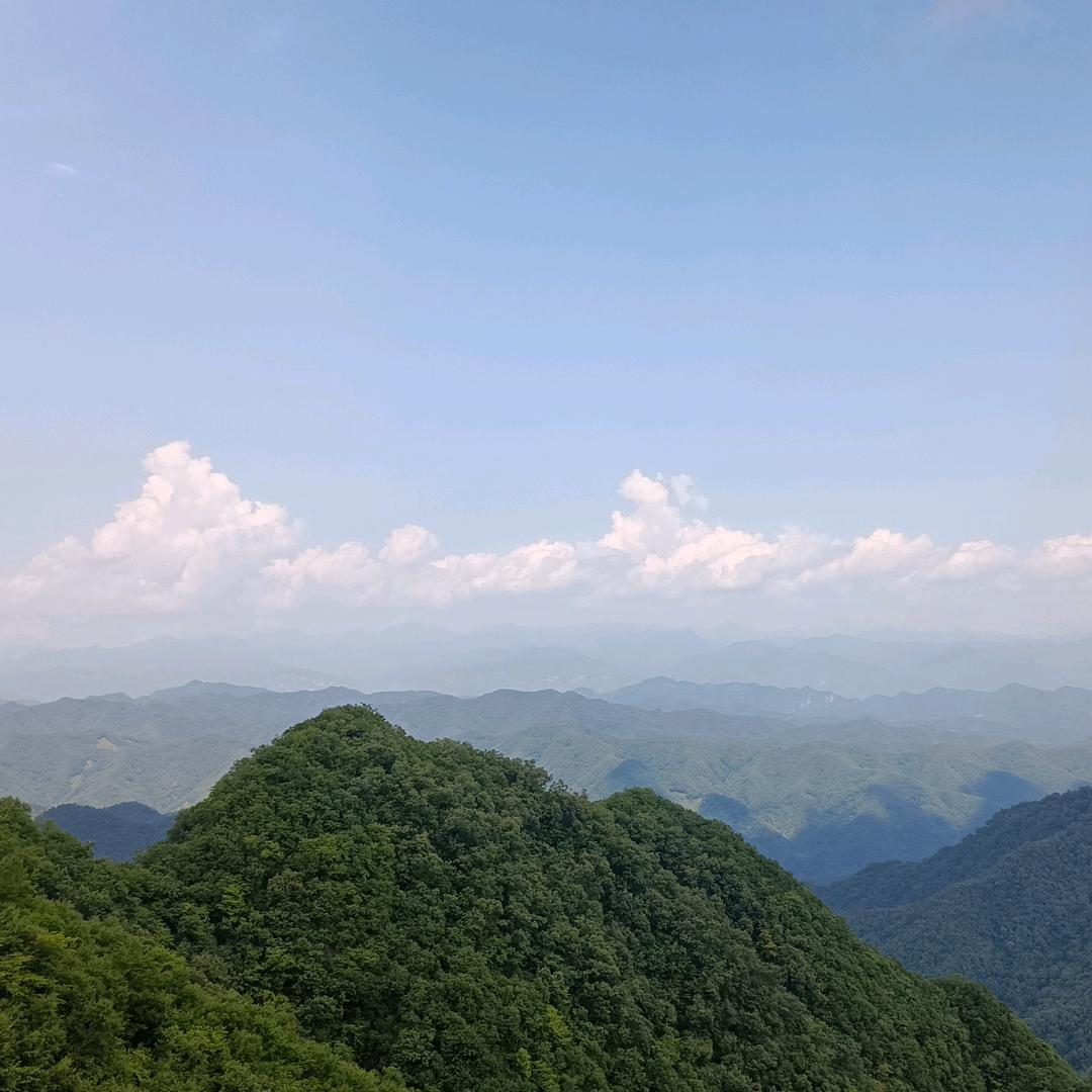KangKang
