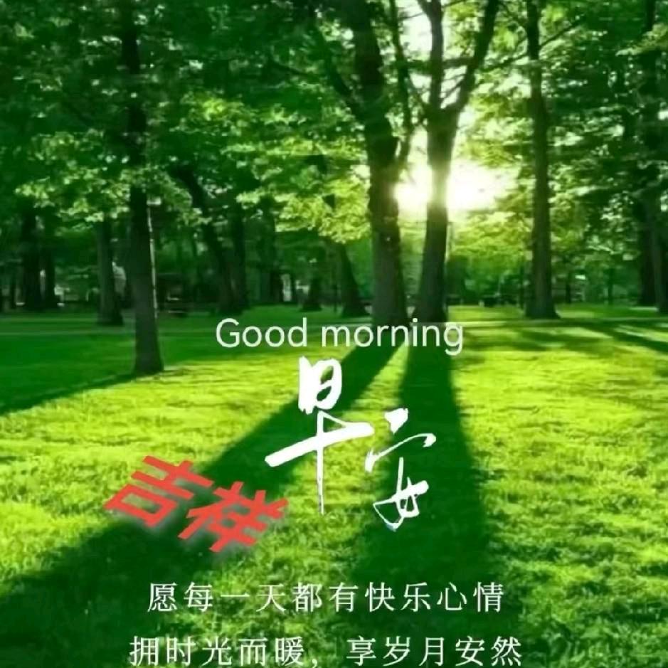 天高任鸟飞
