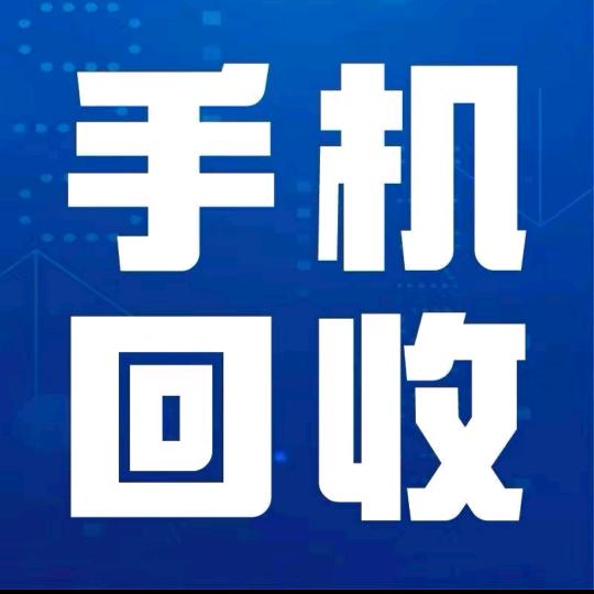 重生之我在宣城收废旧手机