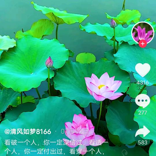 美酒加咖啡