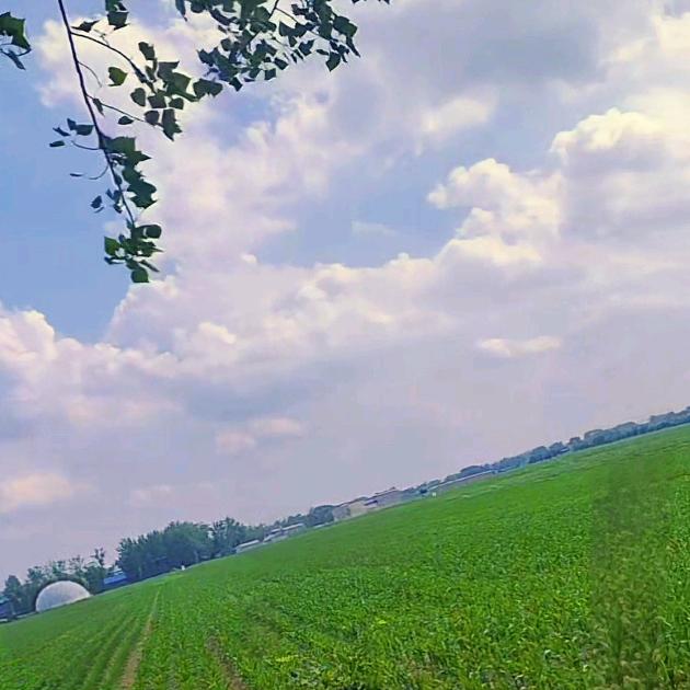 时光流逝的青春！