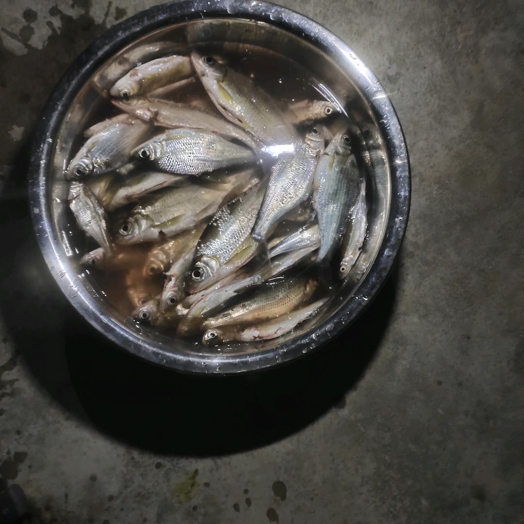 我是爱钓鱼的刘哥
