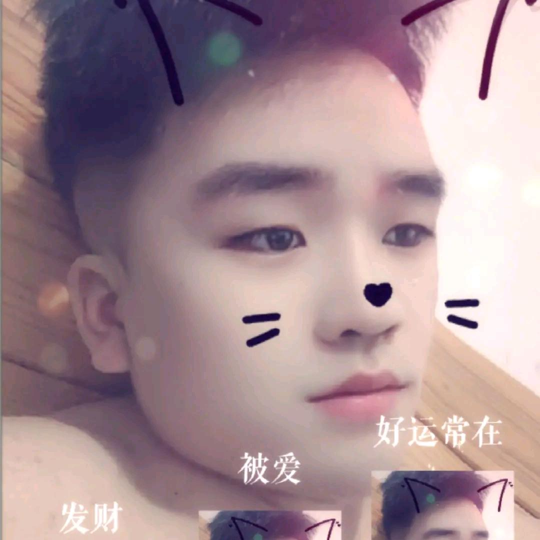 向日葵追随阳光