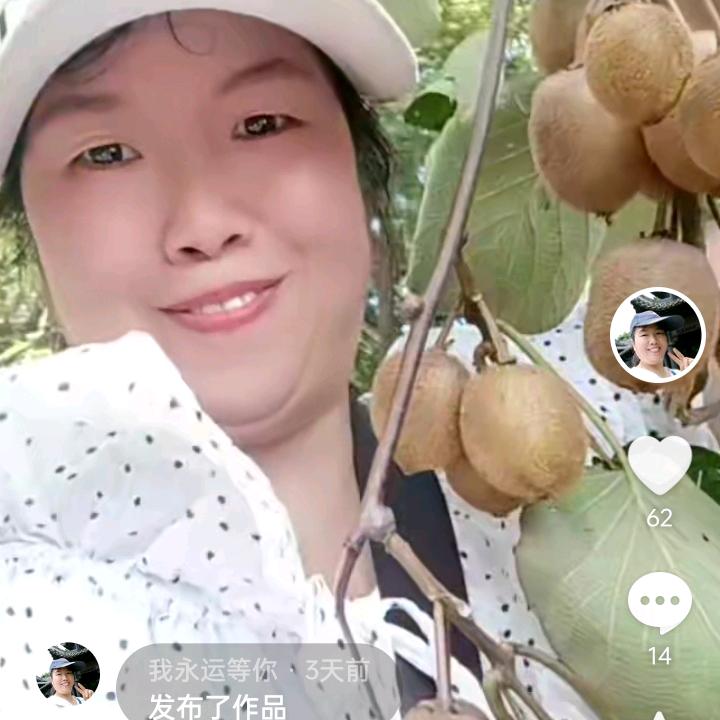 很想过好每一天