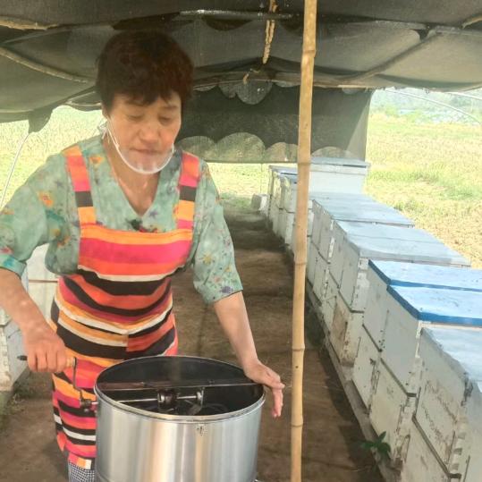 蜂蜜姐