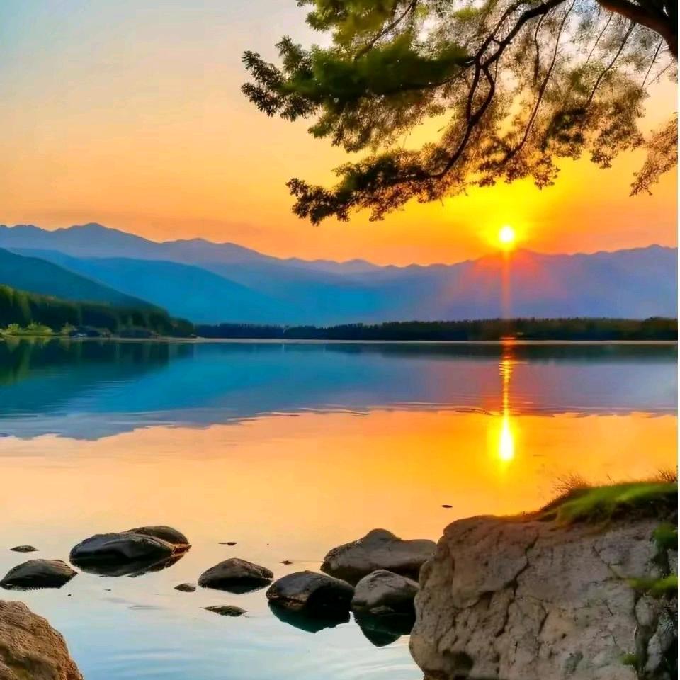 浪里淘沙【除了业务拒绝一切私聊】