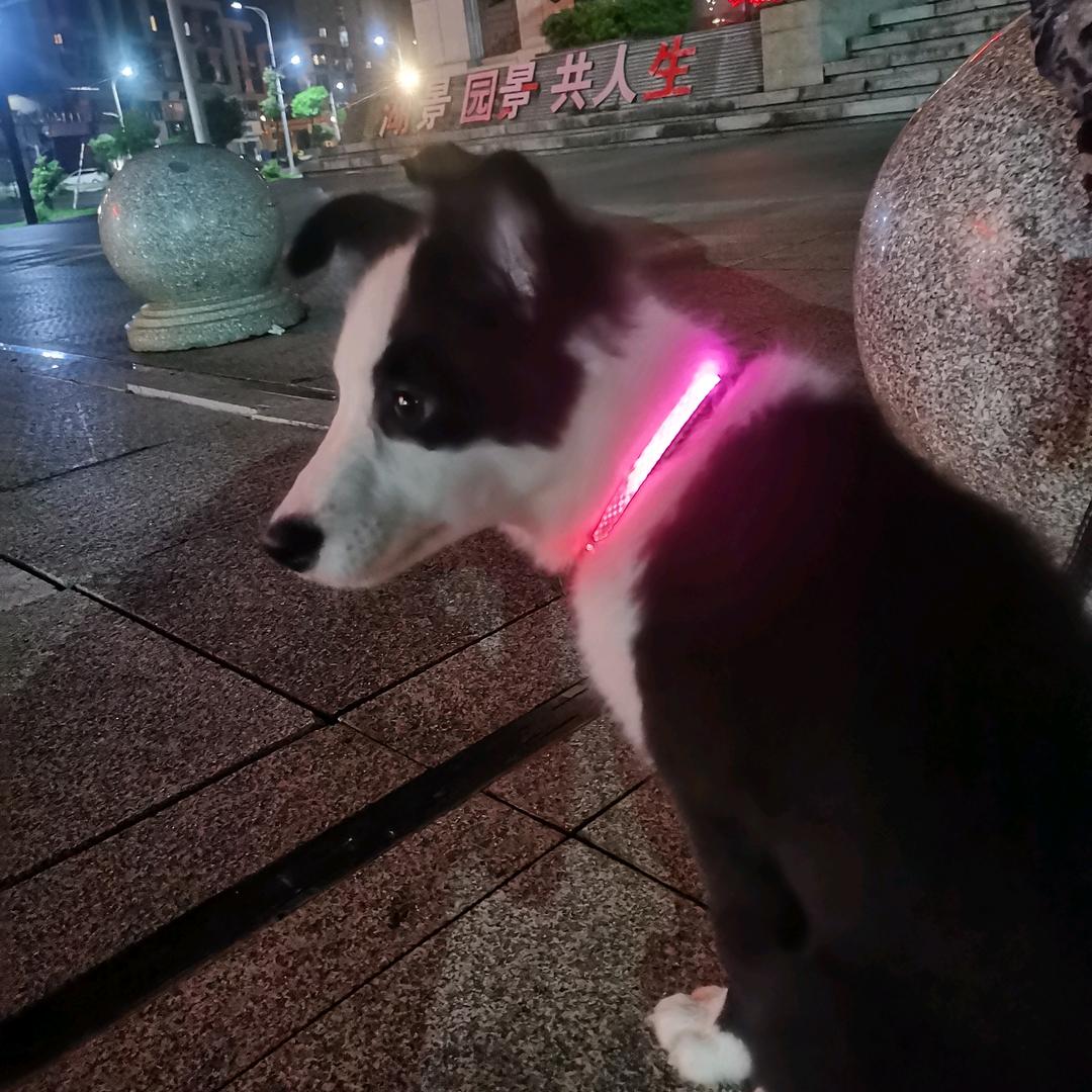 花想容