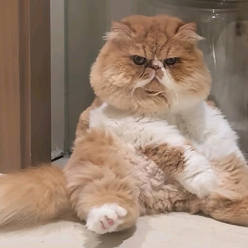 FCAT