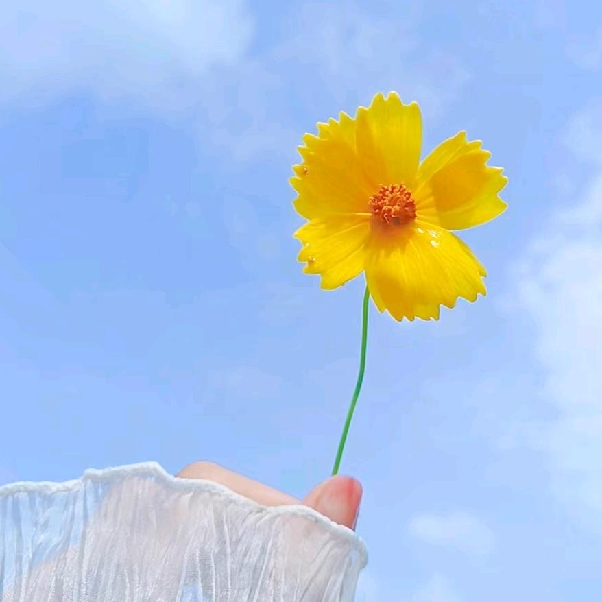 许℘࿐小许