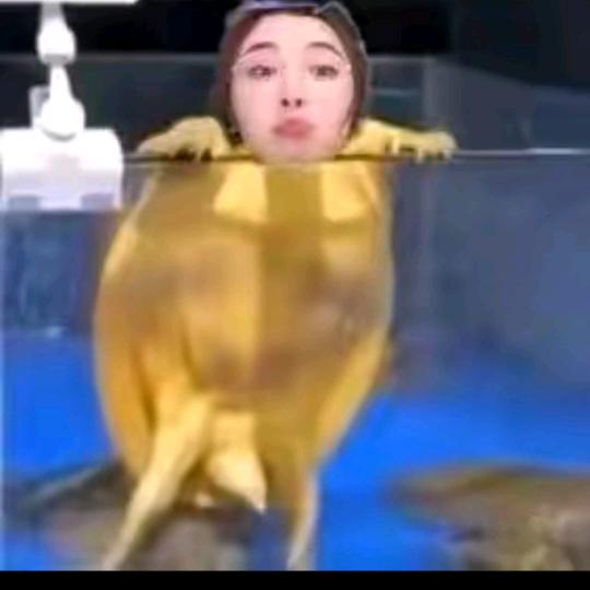 勇士幸福百万🦄⁹⁴⁰