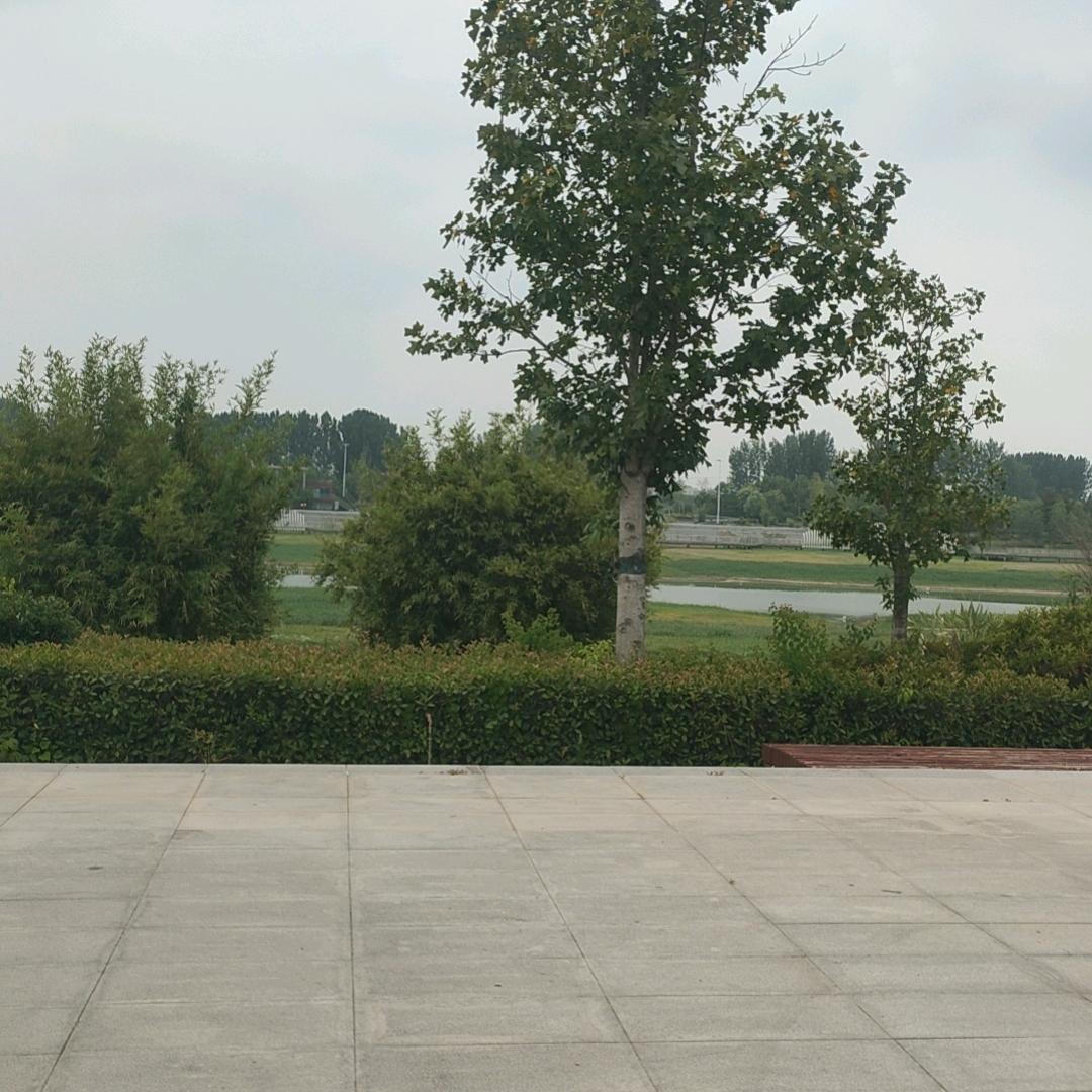 云飘飘
