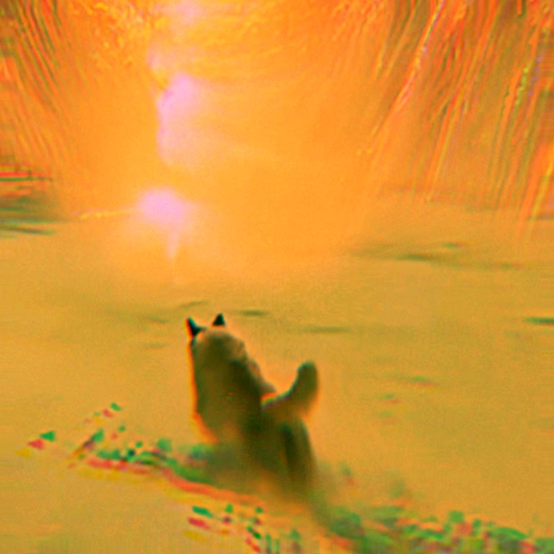 𒐫𒐫𒐫𒐫𒐫𒐫𒐫 𒐫𒐫?