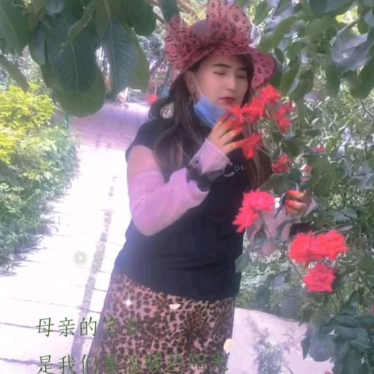 🌹美丽和田 🌹