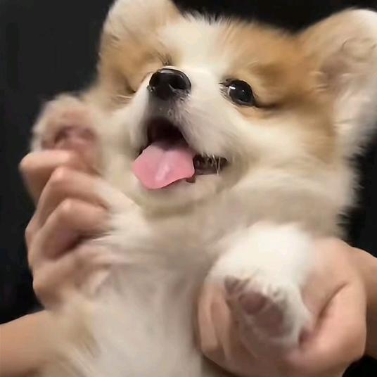 水程山驿