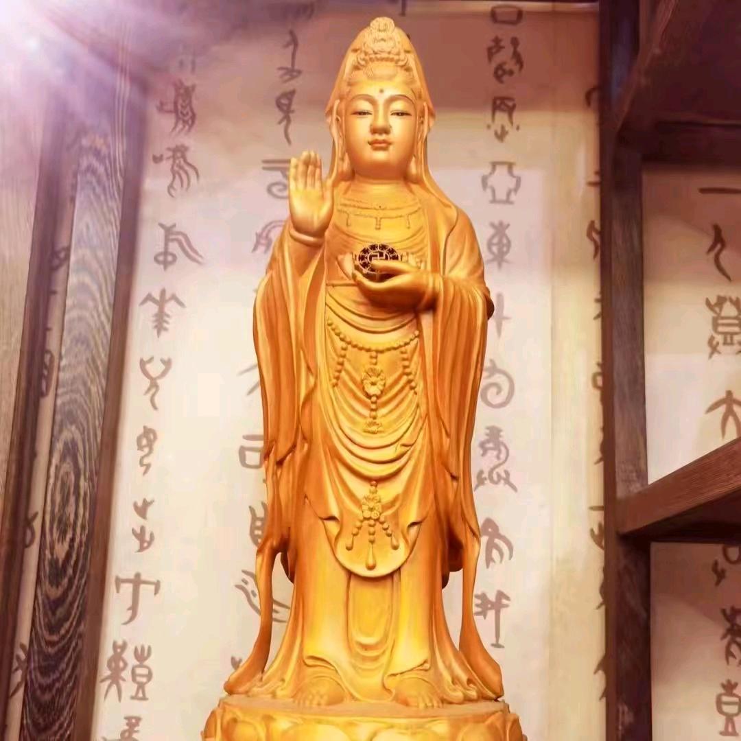 雅宁好物精选1