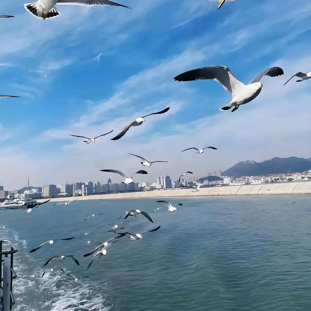 威海荣成一日游