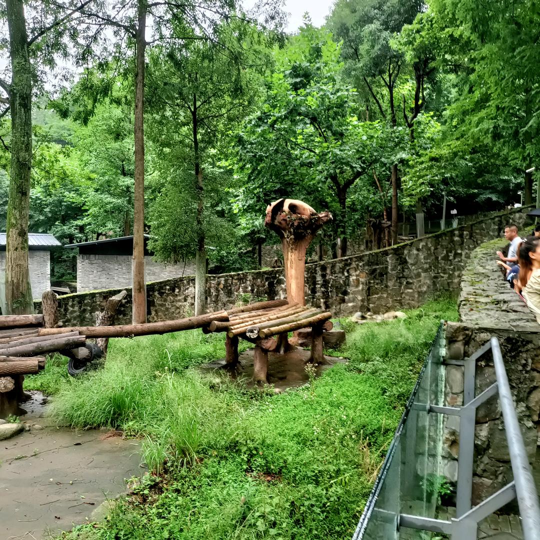 神龙