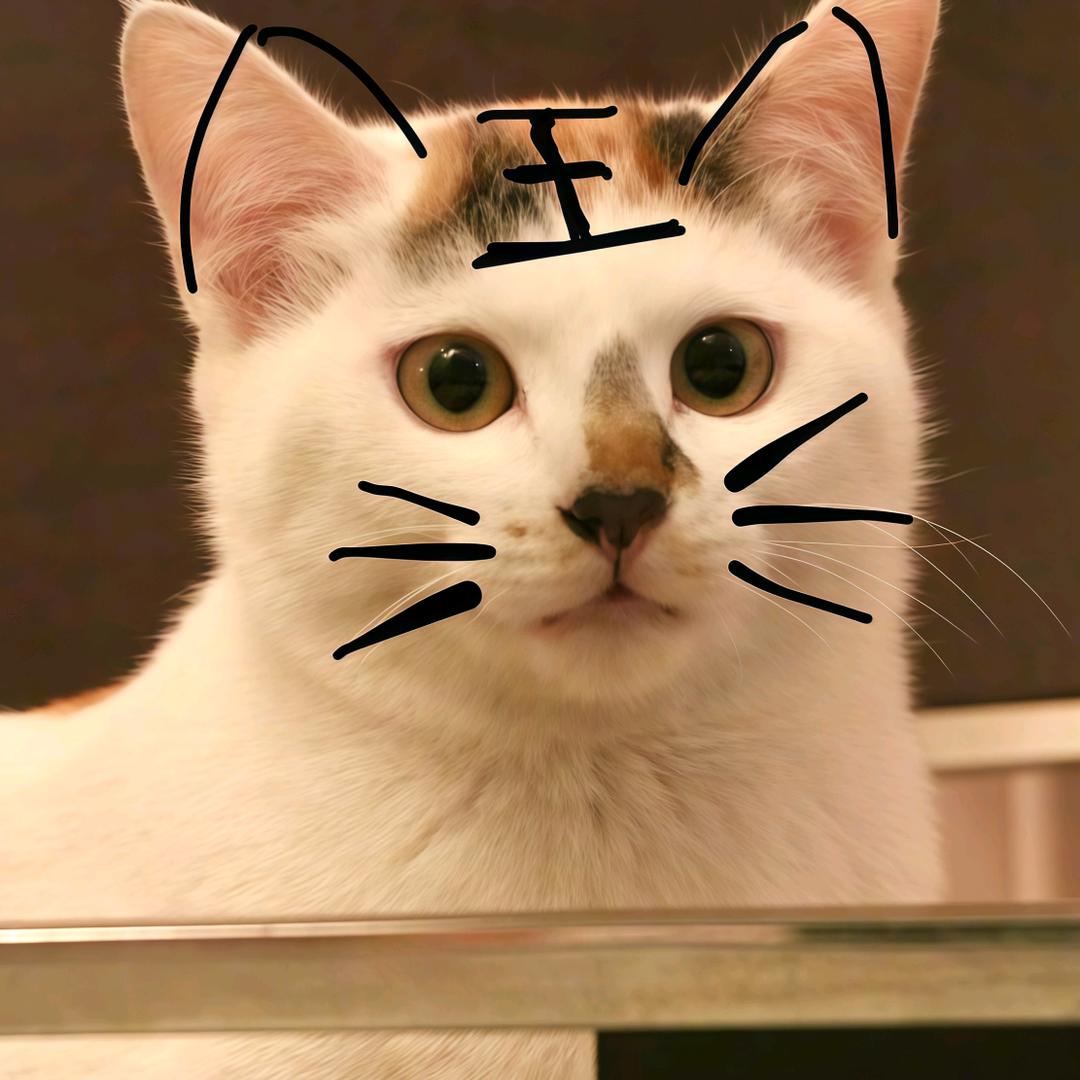 M胖蛋蛋