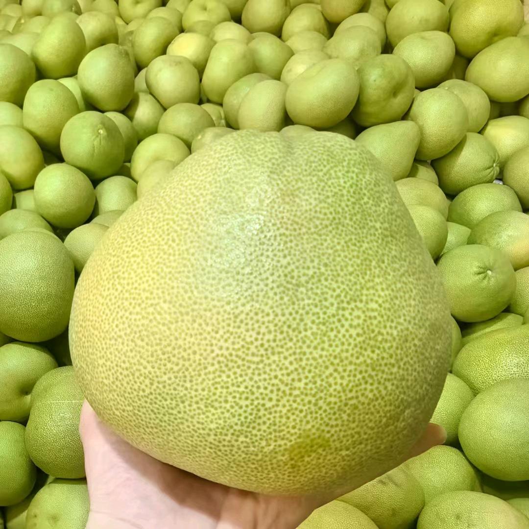 杰哥