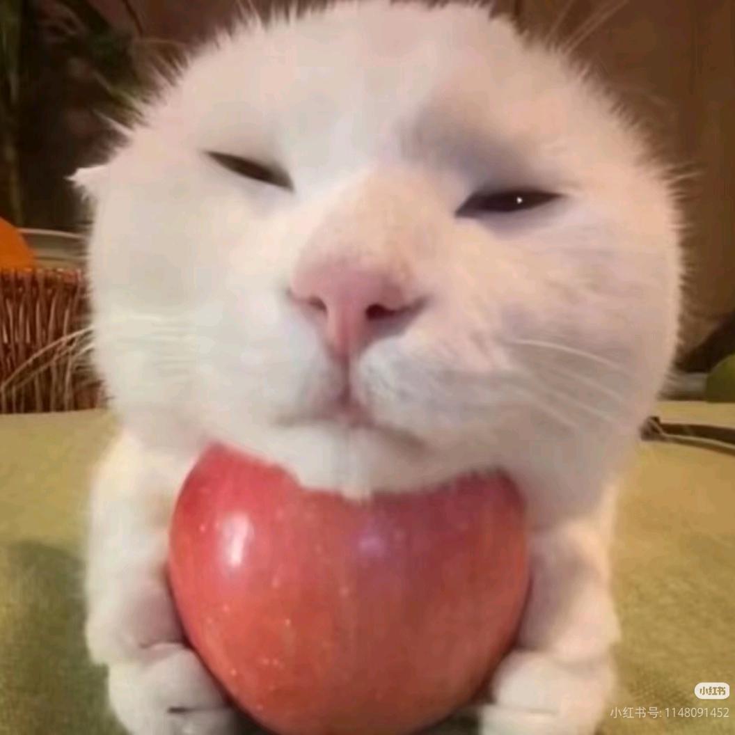 齐总监的今夜我狂炫