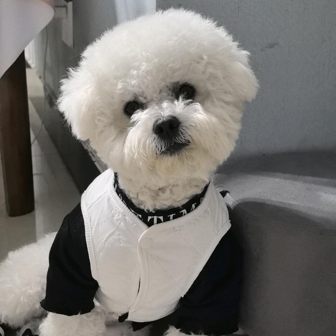 是 果冻呀🐶