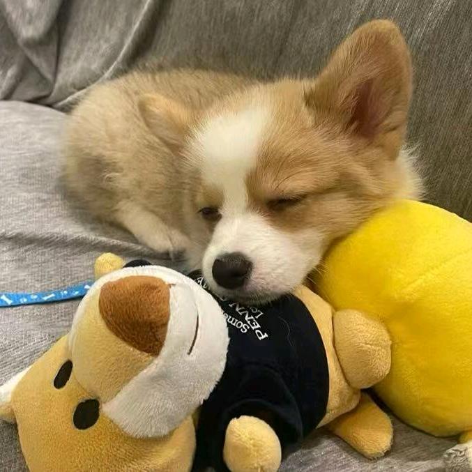 起风了