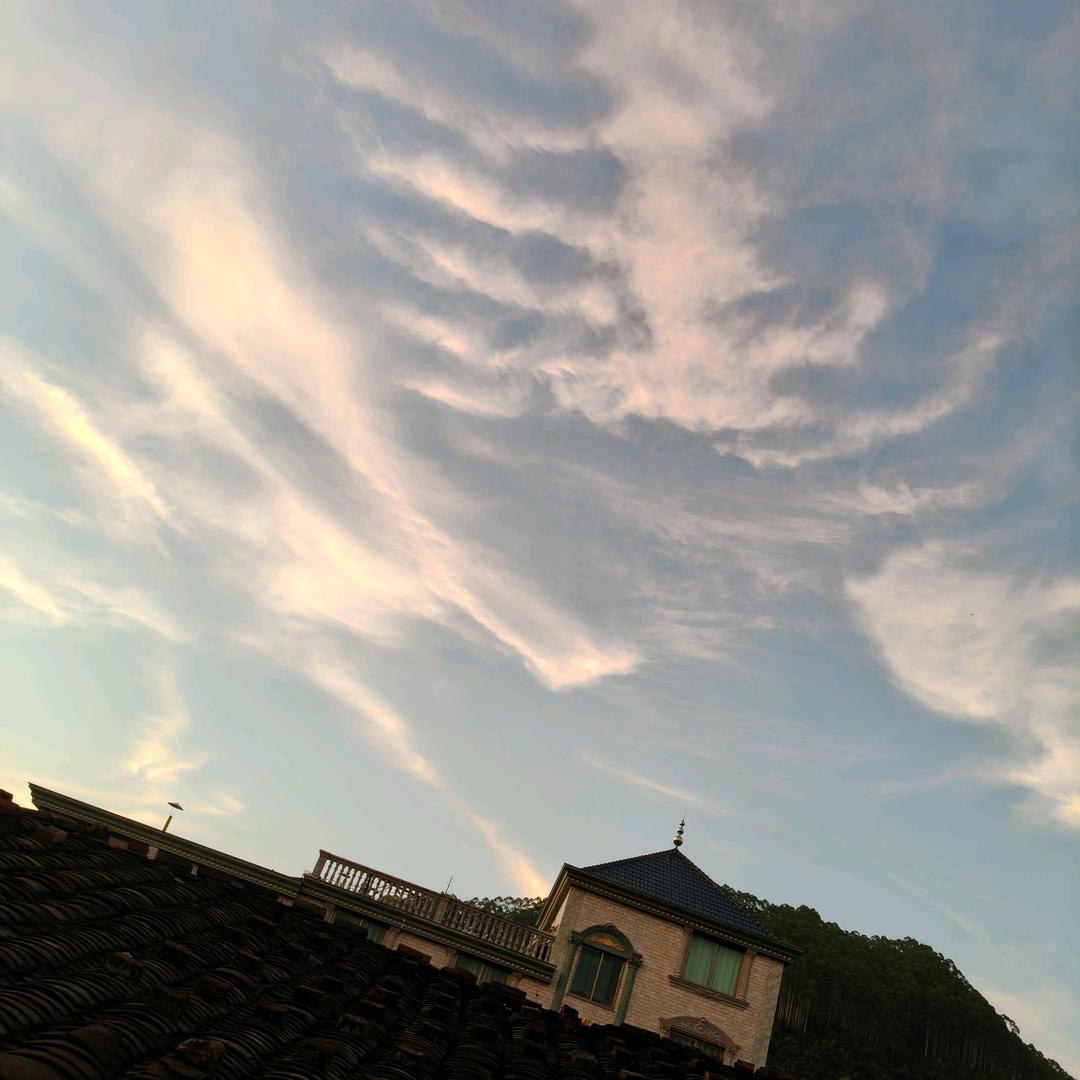 𝕭𝓵𝓪𝓬𝓴𝓼𝓹𝓲𝓭𝓮