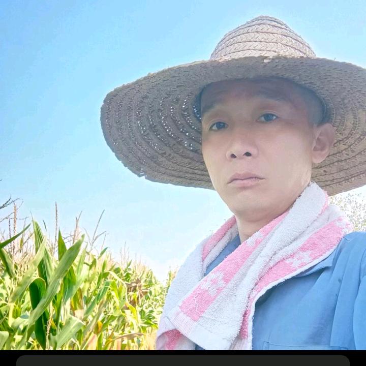 黄河有财《每晚七点直播》