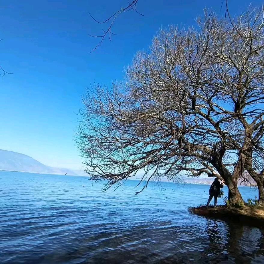 ꧁浓烟ღ᭄伴酒꧂: