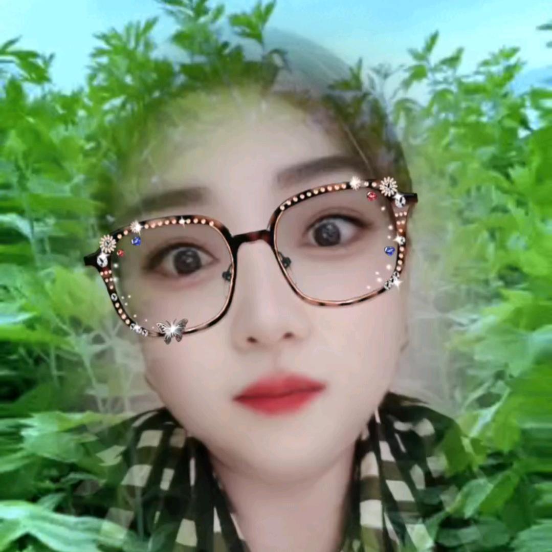 秋天的菊花