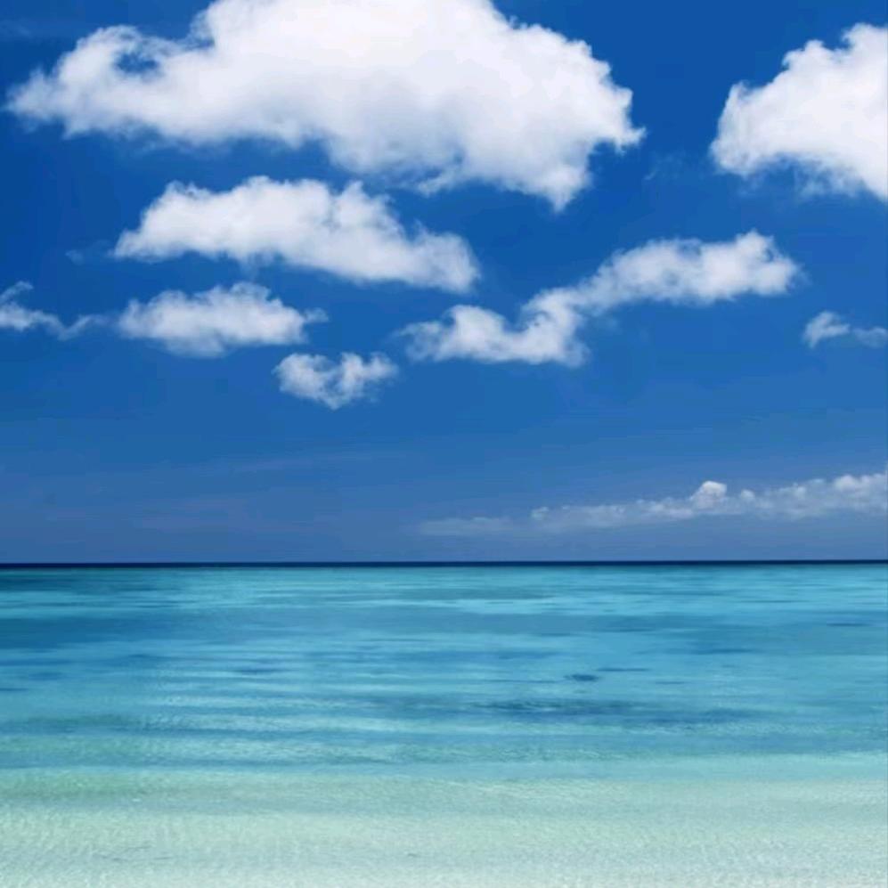 碧海蓝天（宠丽丽）