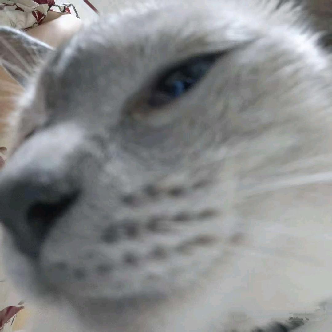 泪水打湿充电线，边流眼泪边触电