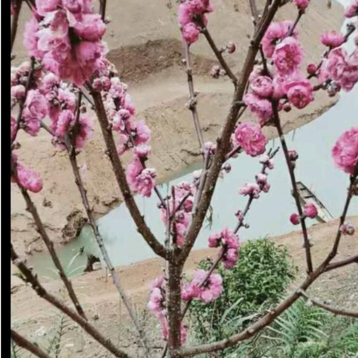 🎉有缘遇见你👬❤️❤️