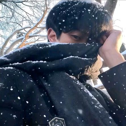 ⚜️𝓙𝓲𝓾决定.⁷