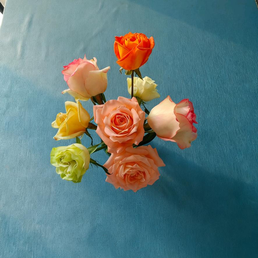 艺美的养花日记