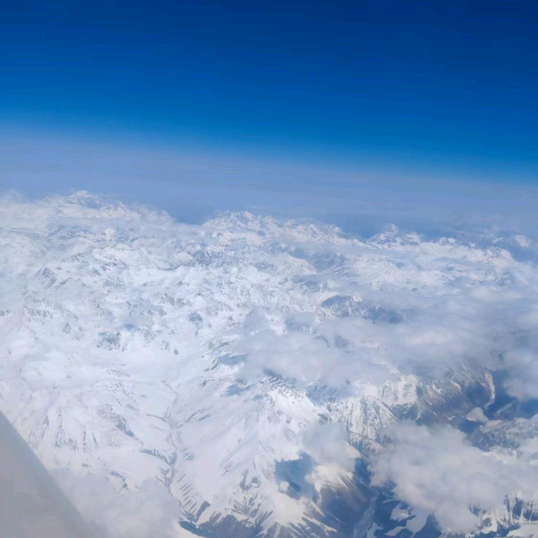 ……王者归来(๑><๑）