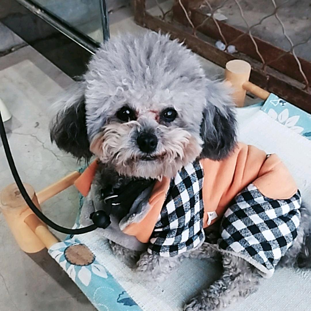 小东水暖空气能服务小铺