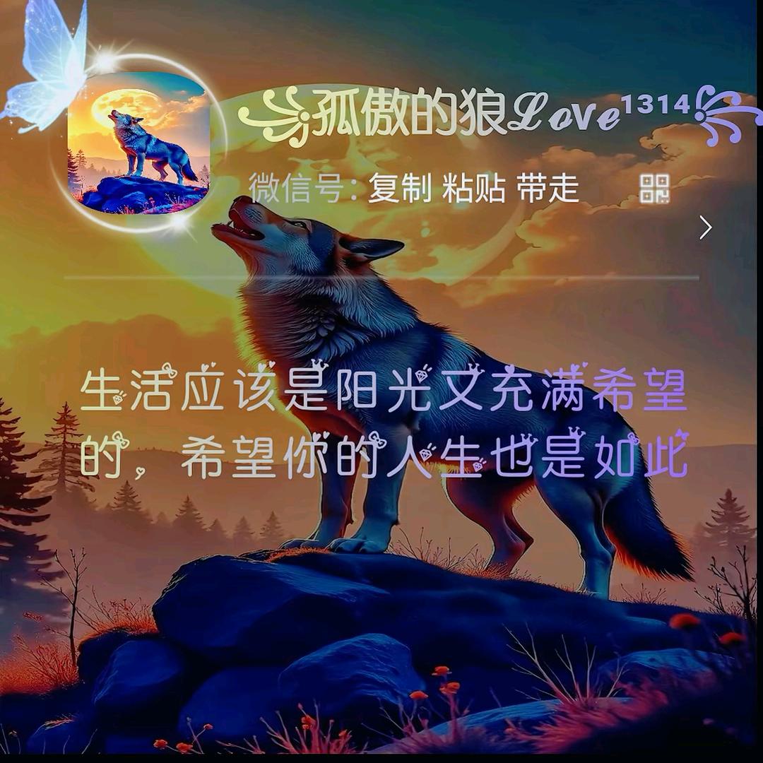 🦅雪堿🌨孤狼🐺