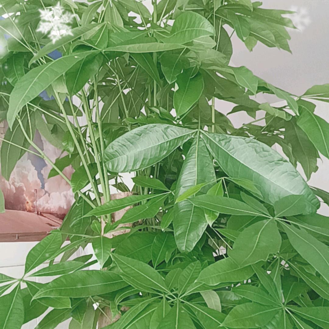 雨过天晴了