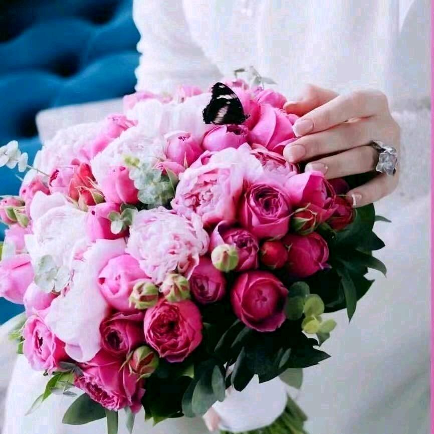 ❣️甜蜜的生命。❣️