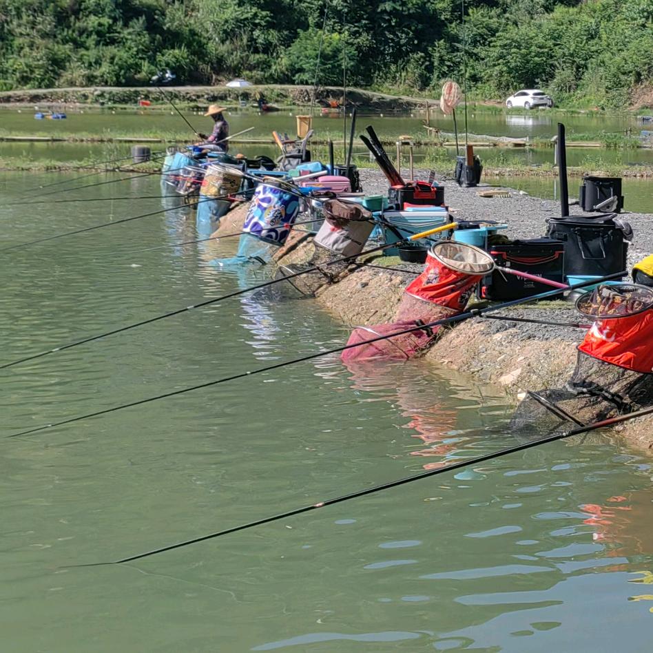 王宽鱼乐人生垂钓场
