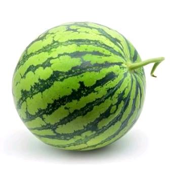 西瓜🍉.